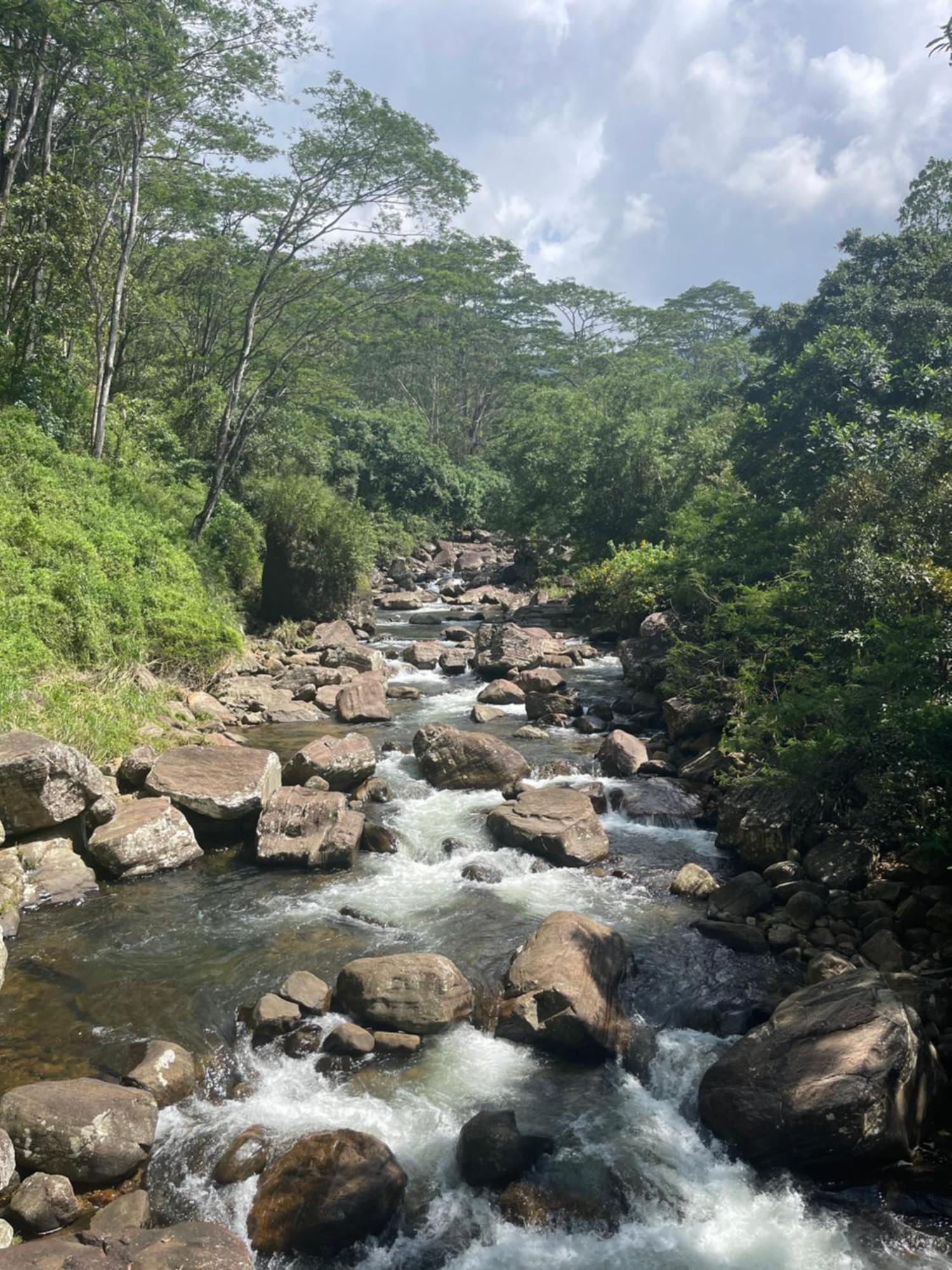 Eagles Lodge - Kandy Digana Eksteriør billede