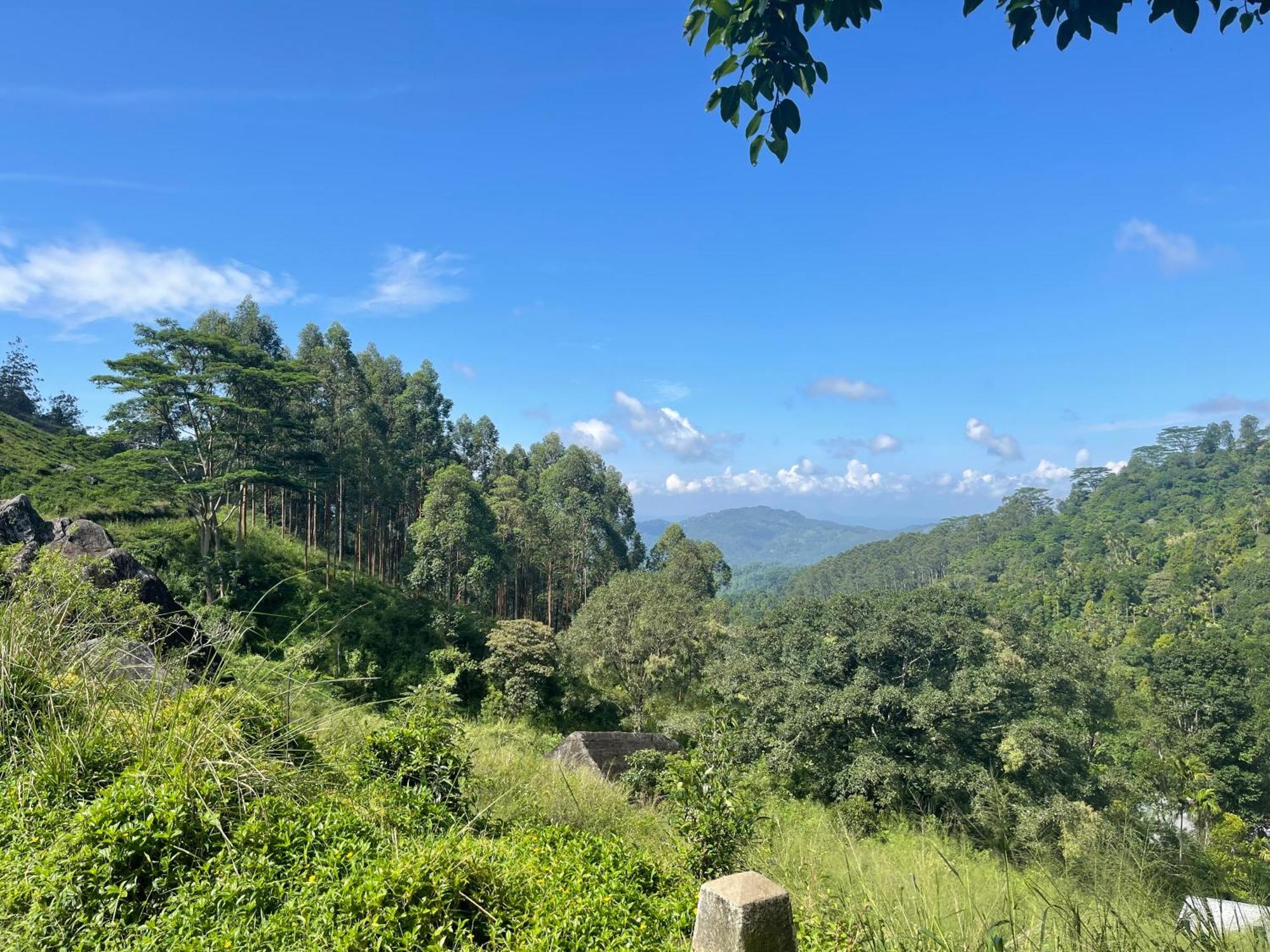 Eagles Lodge - Kandy Digana Eksteriør billede