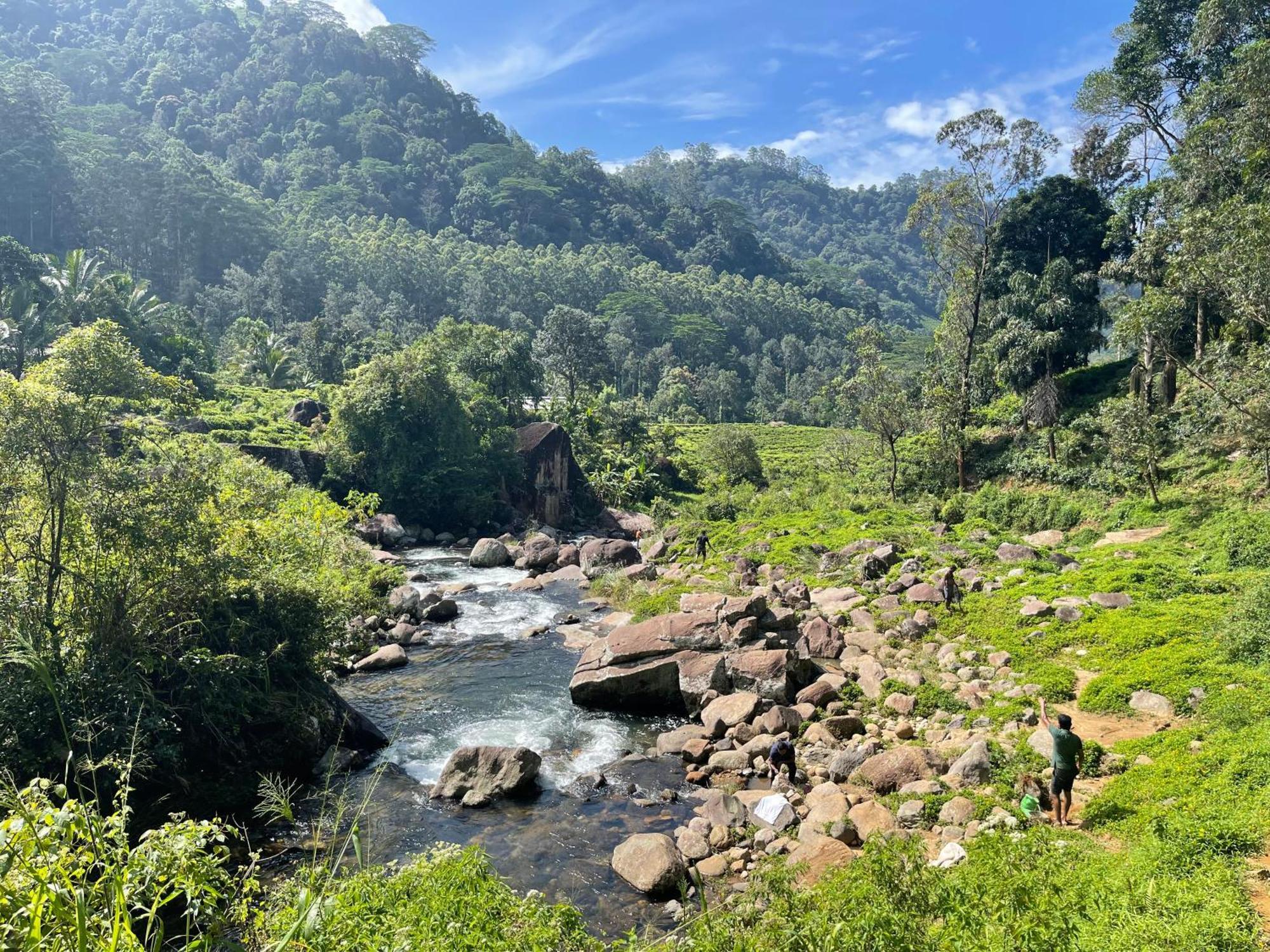 Eagles Lodge - Kandy Digana Eksteriør billede